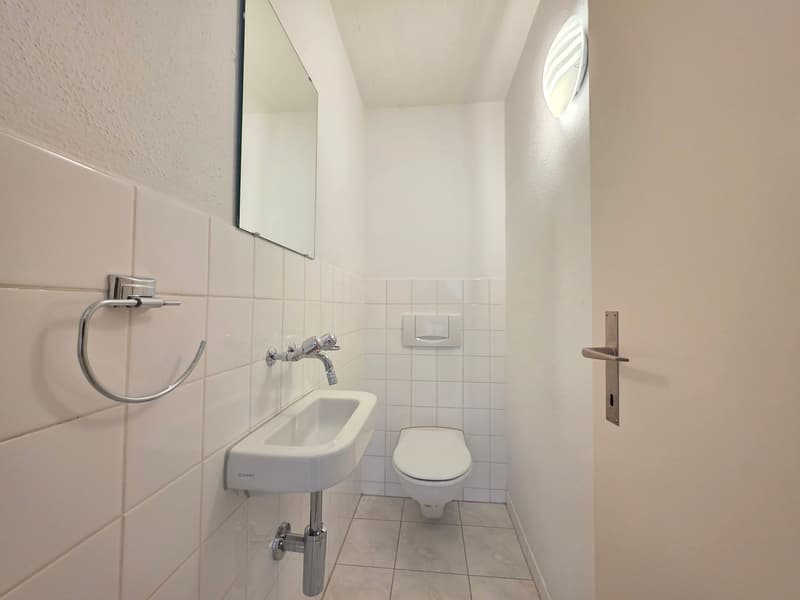 Charmante 4.5-Zimmer-Wohnung am Lindenplatz in Schaffhausen (5)