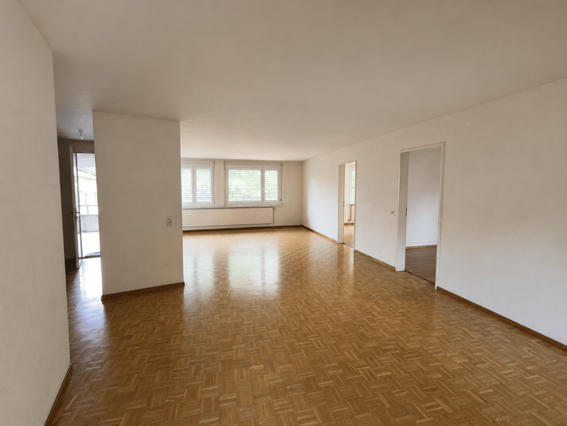 Charmante 4.5-Zimmer-Wohnung am Lindenplatz in Schaffhausen (6)