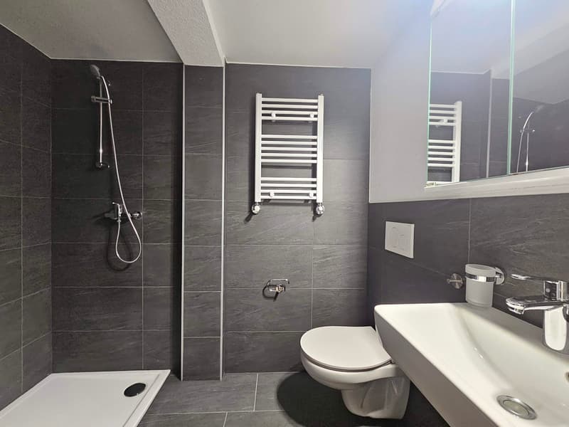 modern bathroom, gray tiles, white fixtures, shower with showerhead, walk-in shower, toilet, sink, towel rack