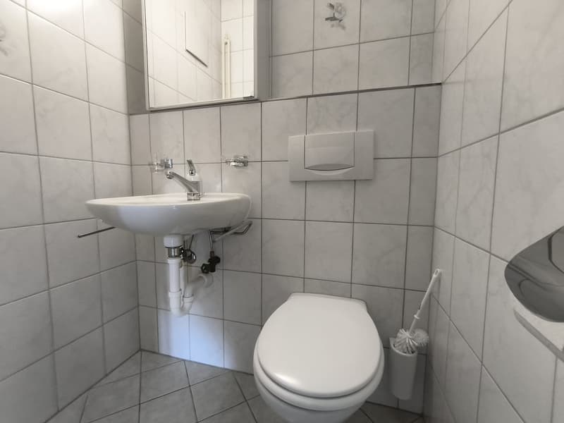 Helle 3-Zimmer-Wohnung in ruhiger Lage von Frenkendorf (6)