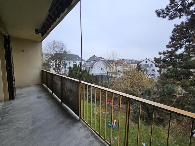 empty balcony, metal railing, tree, playground, garden, grass, clear sky, houses