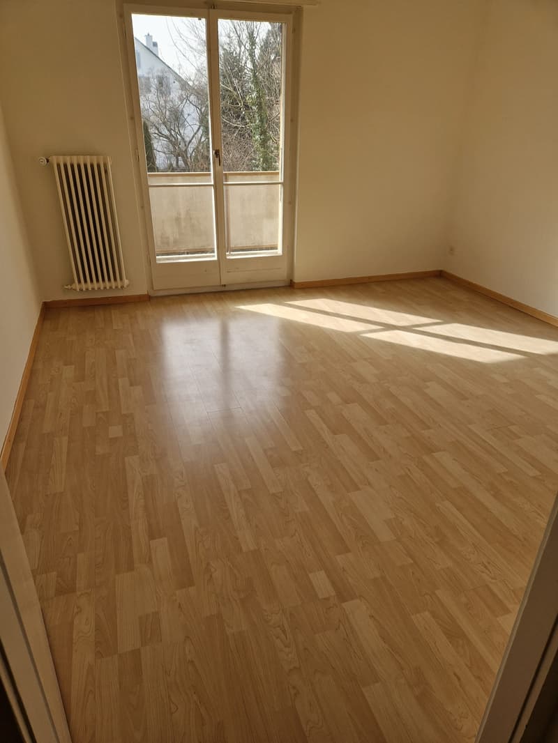 hardwood floor, large sliding glass door, balcony, radiator, empty room
