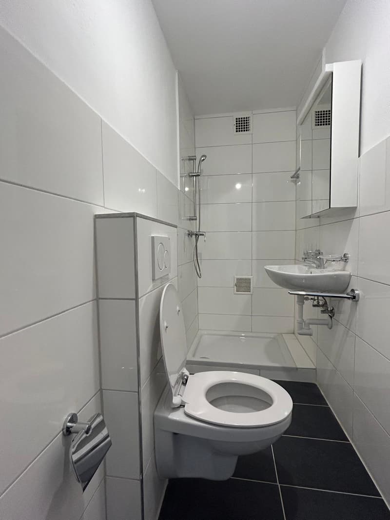 modern bathroom with white tiles, white toilet, white sink, shower, mirror, and black floor