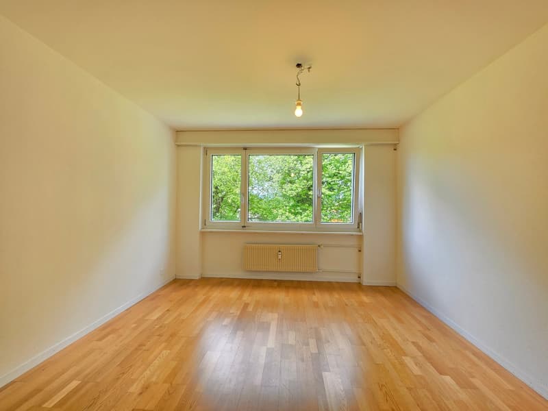 Charmante 3-Zimmer-Wohnung per sofort (7)