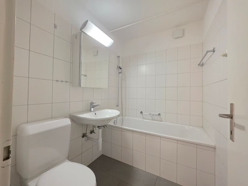 Charmante 3-Zimmer-Wohnung per sofort (6)