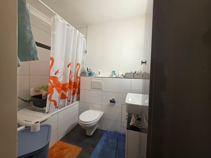 Moderne 3.5-Zimmer-Wohnung mit Balkon in Breitenbach (11)