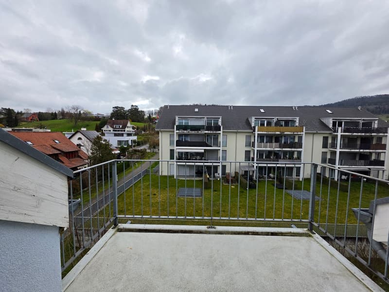 Grosszügige 3.5-Zimmer-Wohnung an zentraler Lage zu vermieten (13)