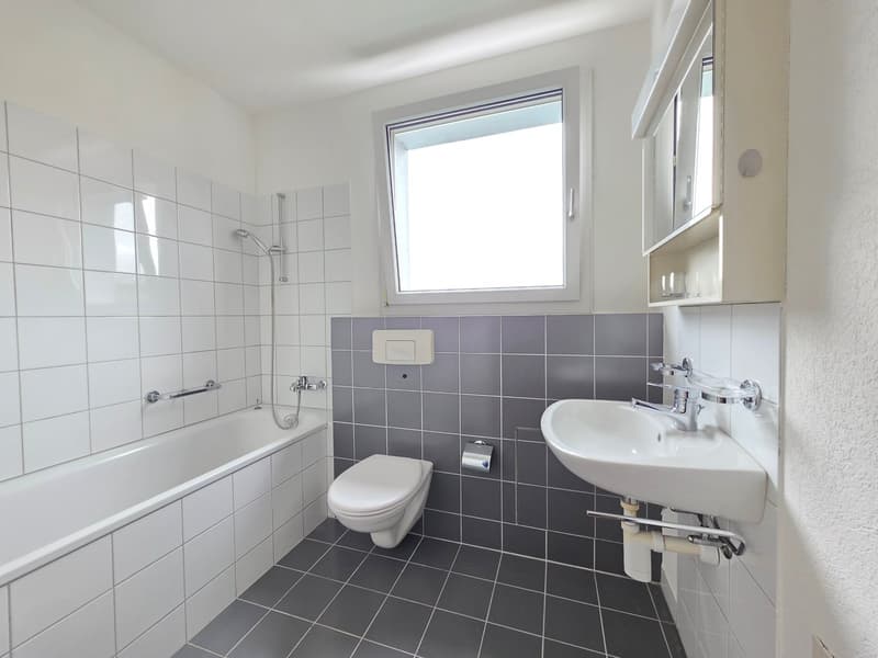 Grosszügige 3.5-Zimmer-Wohnung an zentraler Lage zu vermieten (12)