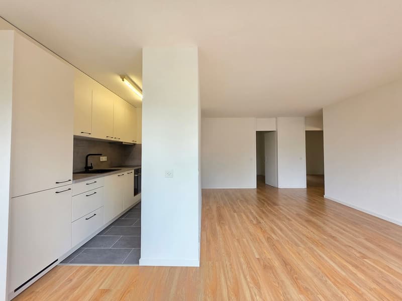Empty kitchen with white cabinets, wooden floor, gray tiles, sink, faucet, and a power outlet