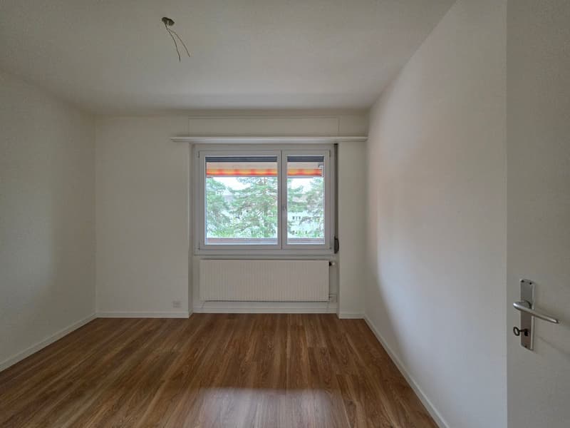 empty room, wooden floor, white walls, window, radiator