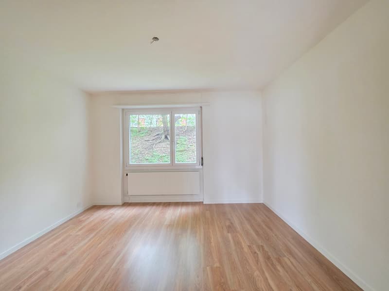 empty room, white walls, wooden floor, large window, white radiator
