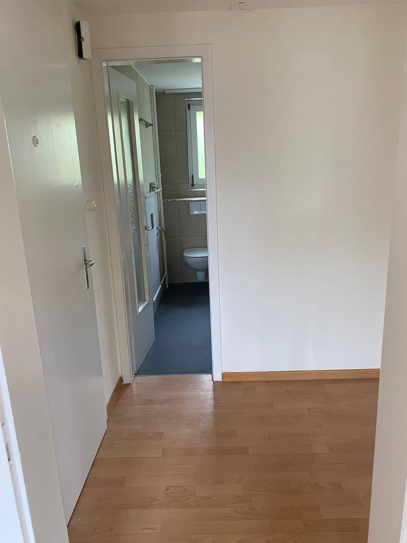 Renovierte 3.5-Zimmer-Wohnung mit Balkon in Herisau (14)