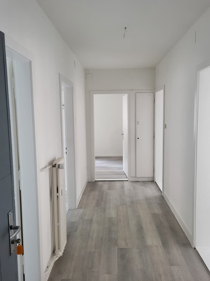 Appartement 4.5 pièces rénové à Saint-Imier (13)