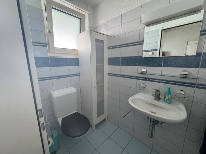 Charmante 3.5-Zimmer in ruhiger Wohnlage in Fahrwangen! (5)