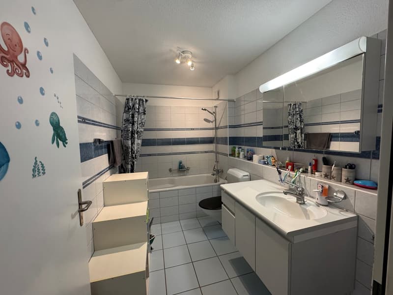 Charmante 3.5-Zimmer in ruhiger Wohnlage in Fahrwangen! (4)
