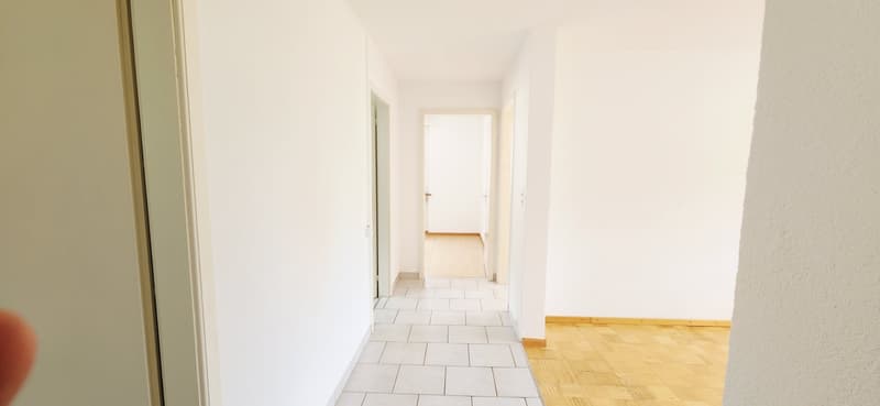 Appartement 3 pièces lumineux à louer à Péry - entièrement rénové (5)
