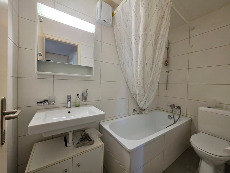 Moderne 3.5 ZWG an zentraler Wohnlage zu vermieten (12)
