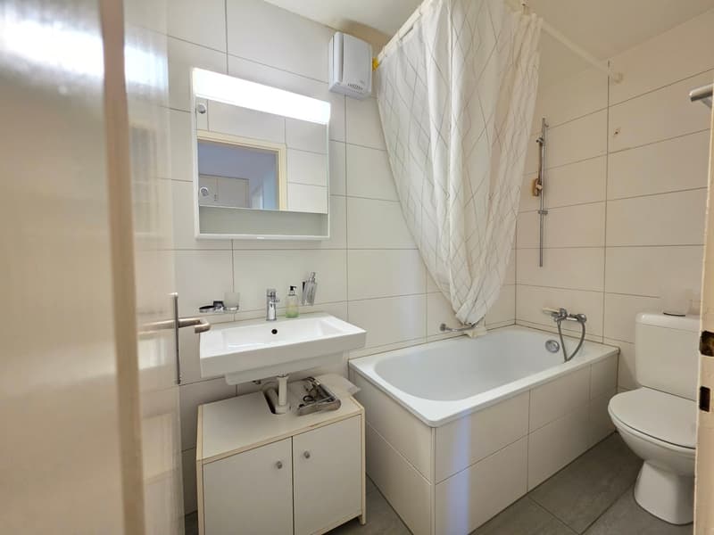 Moderne 3.5 ZWG an zentraler Wohnlage zu vermieten (11)