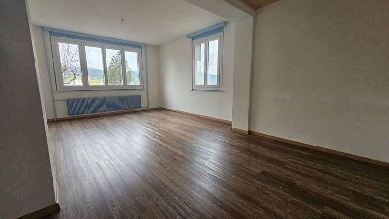 Charmant studio lumineux avec belle vue à Le Locle (4)