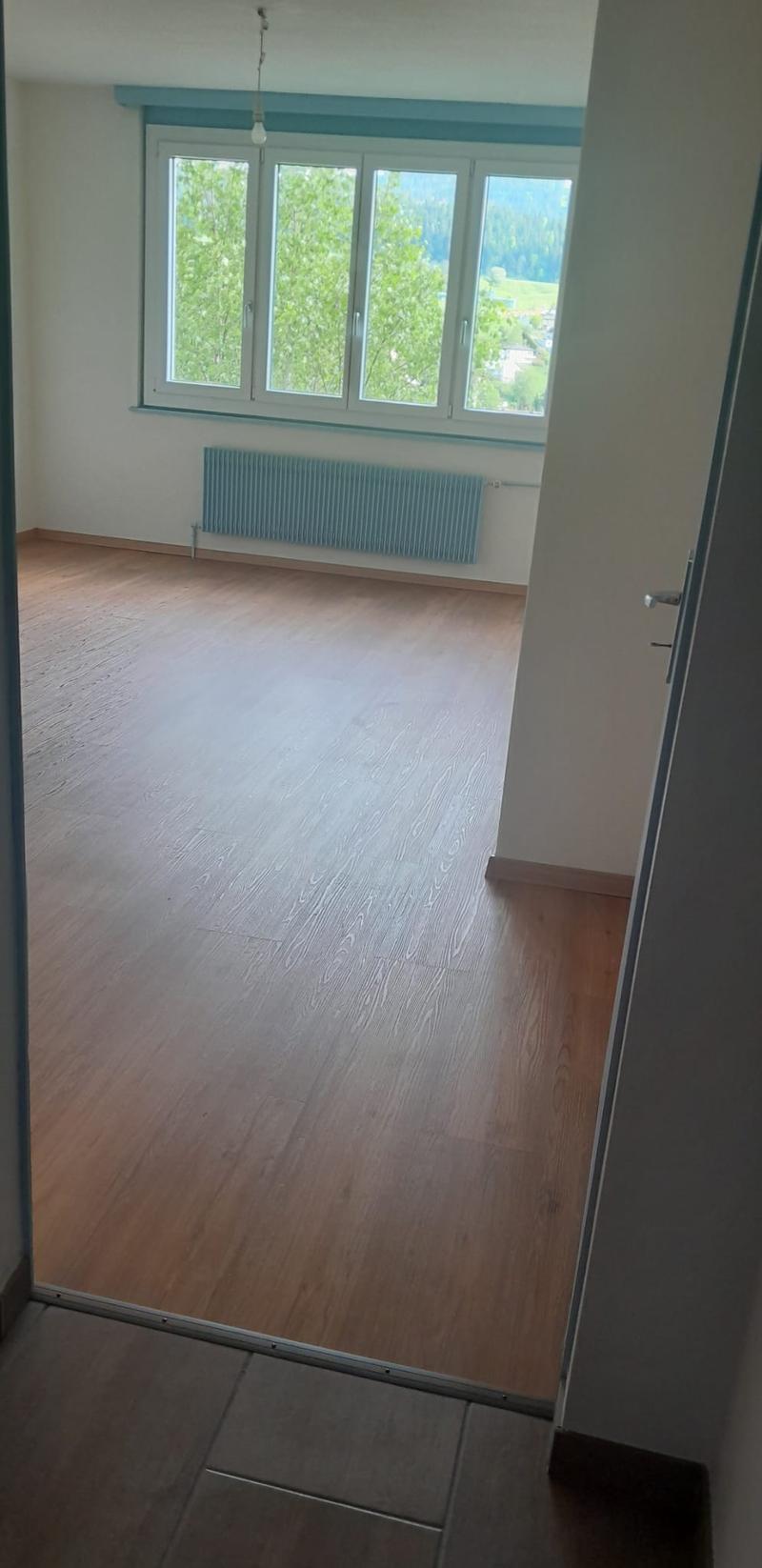 Charmant studio lumineux avec belle vue à Le Locle (8)