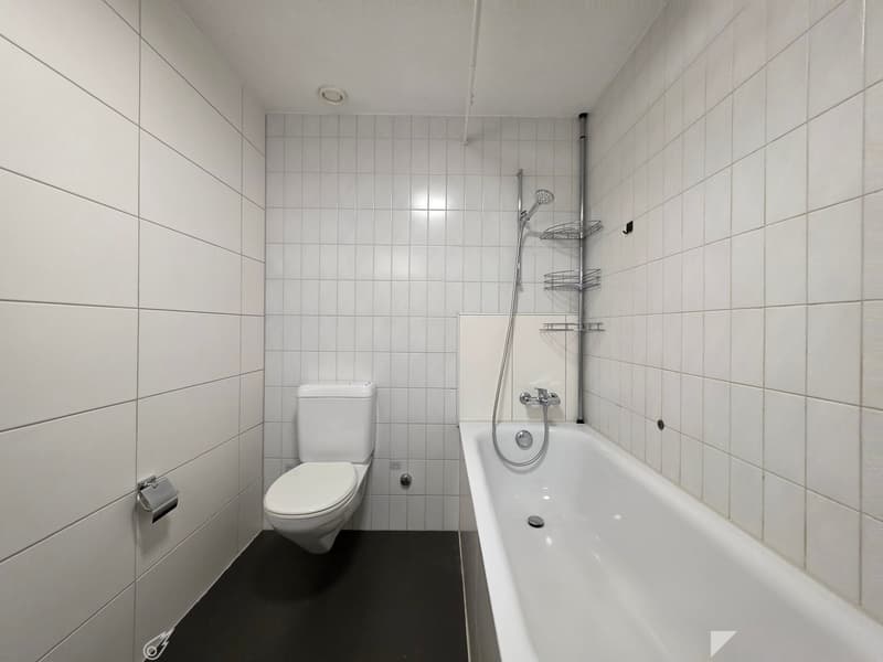 Grosszügige, gut gepflegte 5-Zimmer-Wohnung mit eigenem Vorgarten! (4)