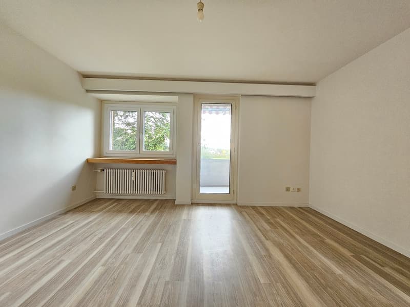 Helle 4-Zimmer-Wohnung mit Balkon und schöner Aussicht in Arbon (11)