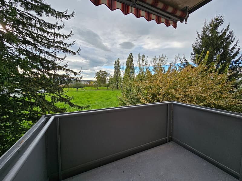 Helle 4-Zimmer-Wohnung mit Balkon und schöner Aussicht in Arbon (16)