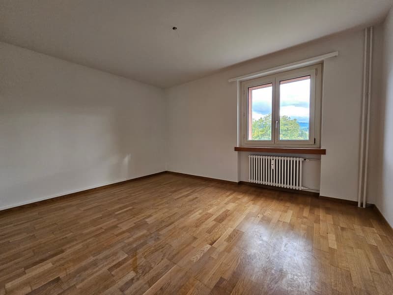 Helle 4-Zimmer-Wohnung mit Balkon und schöner Aussicht in Arbon (14)