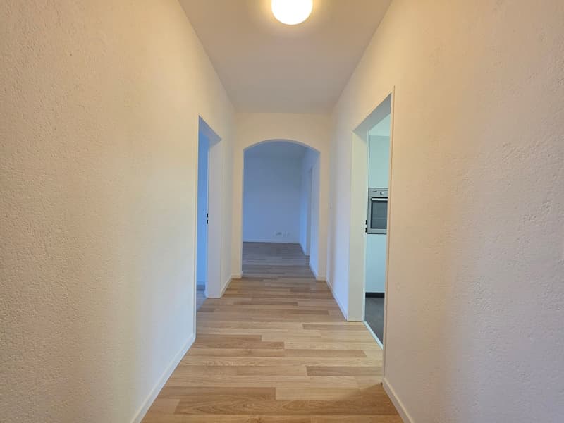 Aufgefrischte Familienwohnung in Kriens zu vermieten! (12)