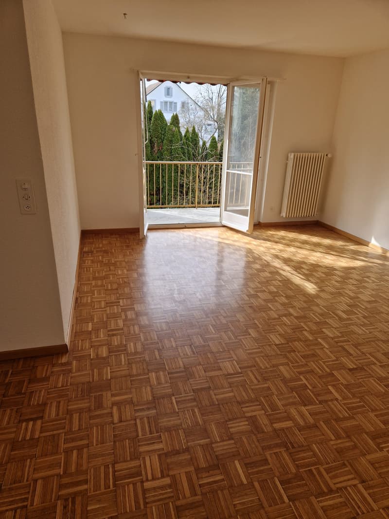 Charmante 3 Zimmer Wohnung, perfekt für Paare, oder Kleinfamilien zu vermieten! (9)