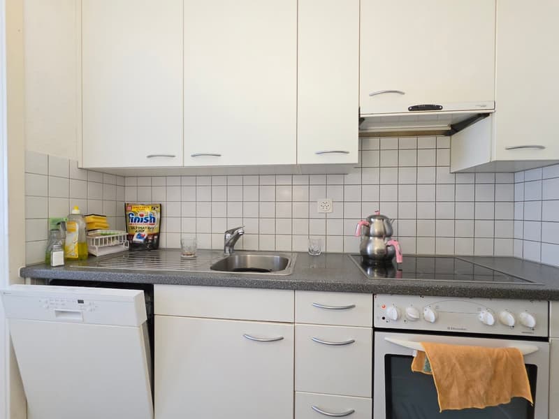 Helle 3.5-Zimmer-Wohnung mit Balkon und Aussicht in Luzern (4)