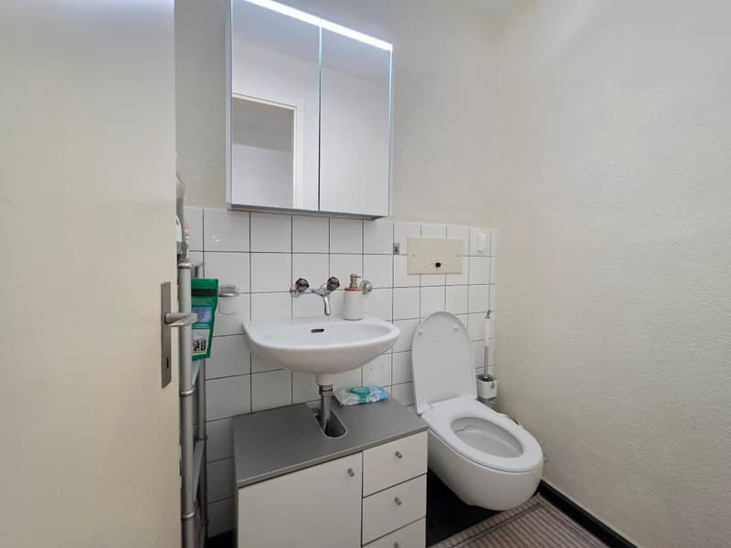 Helle 3.5-Zimmer-Wohnung mit Balkon und Aussicht in Luzern (6)