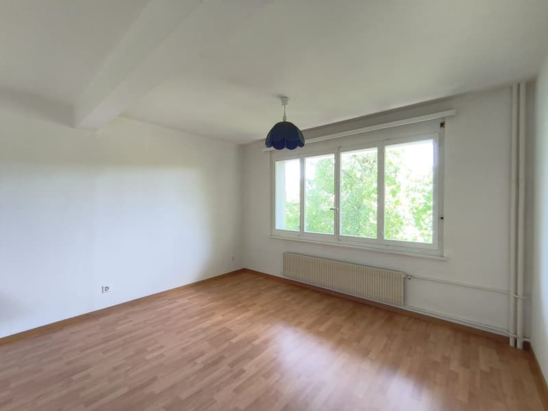 Charmant appartement de 2 pièces à Le Locle – disponible immédiatement (7)