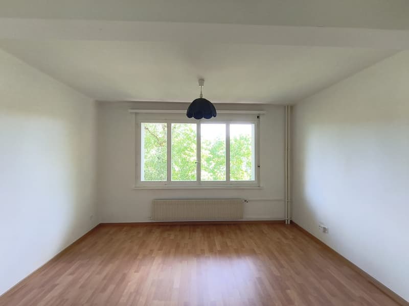 Charmant appartement de 2 pièces à Le Locle – disponible immédiatement (11)