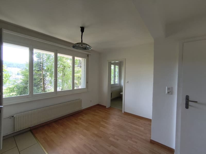 Charmant appartement de 2 pièces à Le Locle – disponible immédiatement (10)