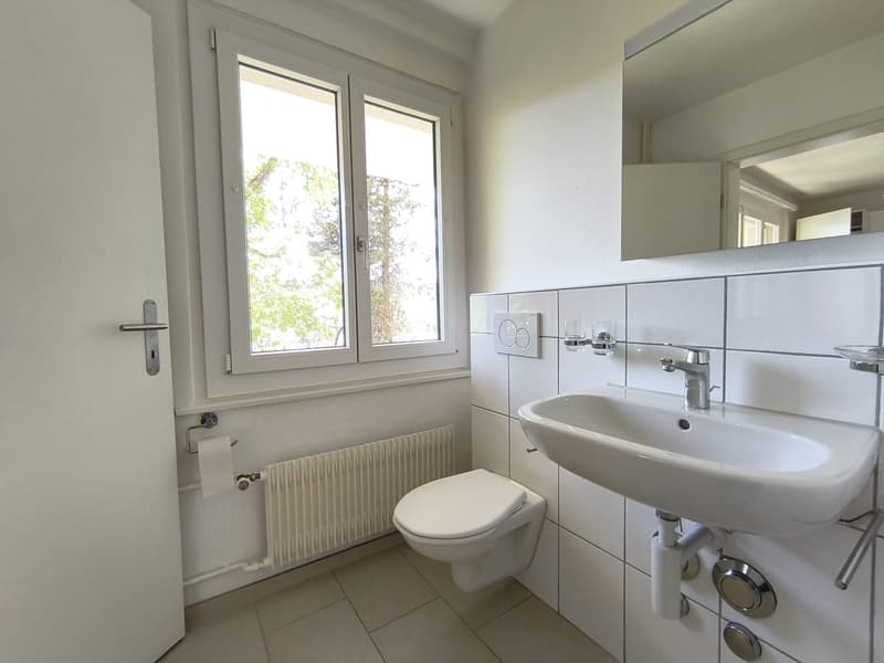 Charmant appartement de 2 pièces à Le Locle – disponible immédiatement (15)
