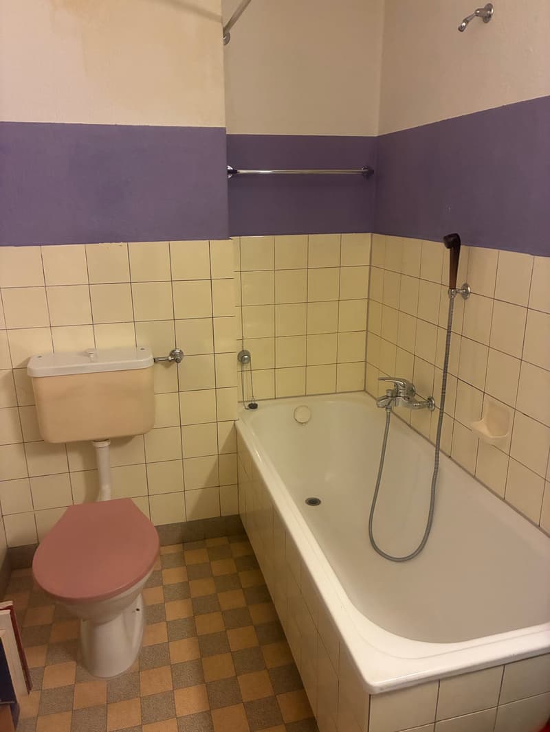 Befristete Wohnung an der Zurlindenstrasse 5 zu vermieten. (5)