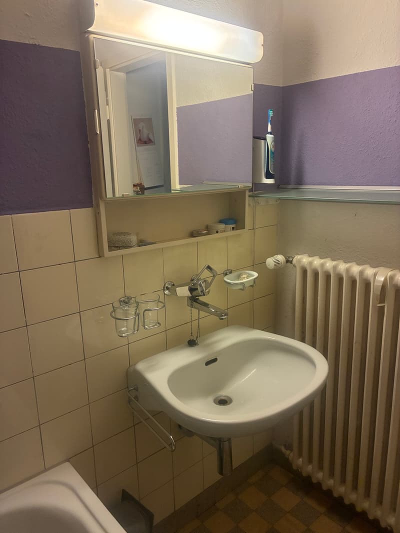 Befristete Wohnung an der Zurlindenstrasse 5 zu vermieten. (4)