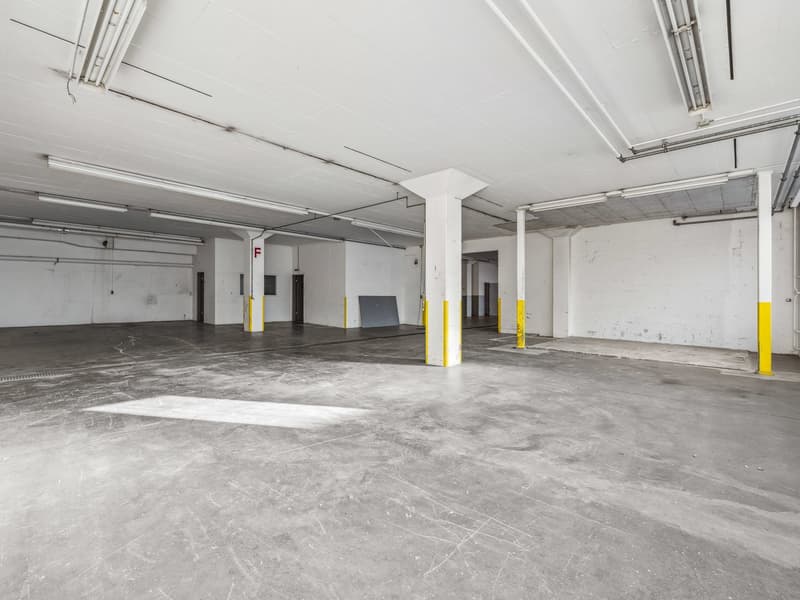 Flexible Gewerbefläche von 670m2 in Solothurn! (9)