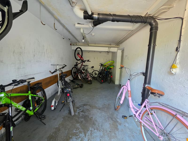 Charmante 2-Zimmer-Wohnung mit Balkon in St. Margrethen (18)