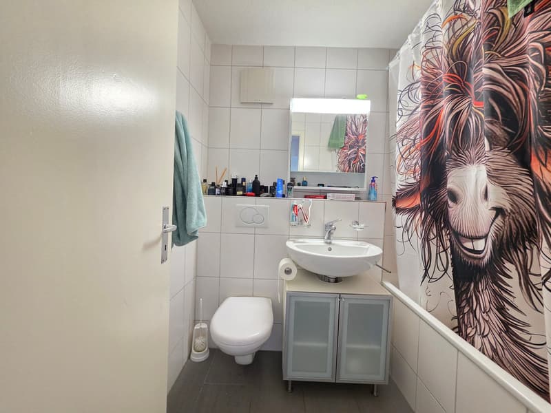 Gemütliche 3-Zimmer-Wohnung mit Balkon und schöner Aussicht in Bettlach (14)