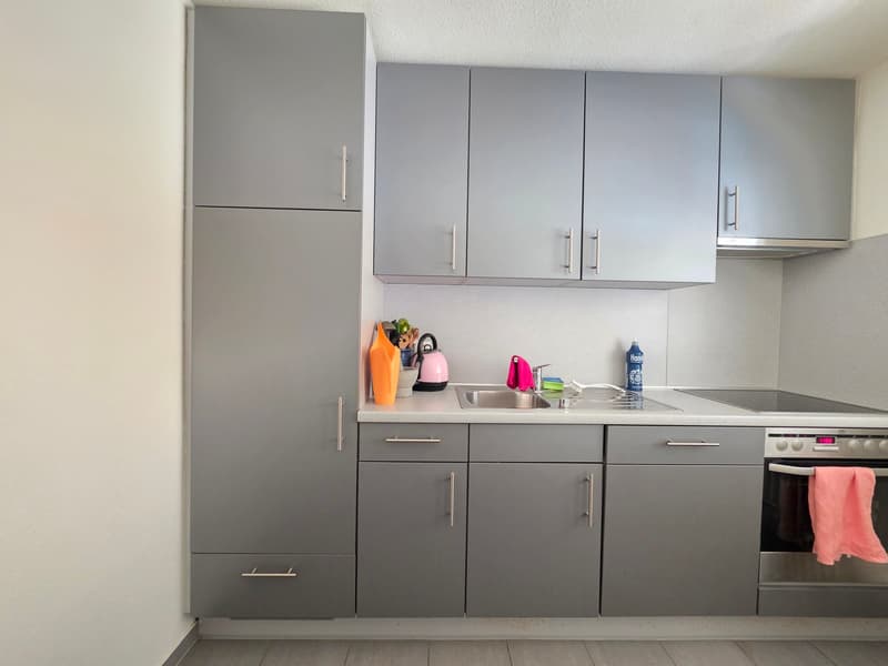 Gemütliche 3-Zimmer-Wohnung mit Balkon und schöner Aussicht in Bettlach (2)
