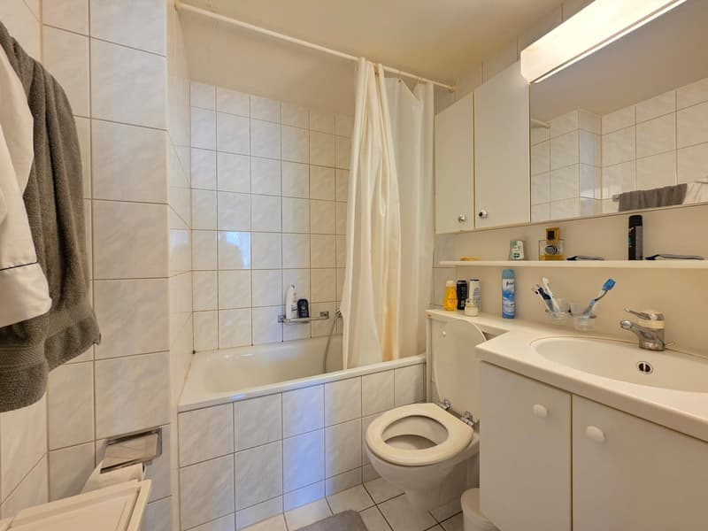 Grosszügige, helle 2-Zimmer-Wohnung, perfekt für Paare! (11)