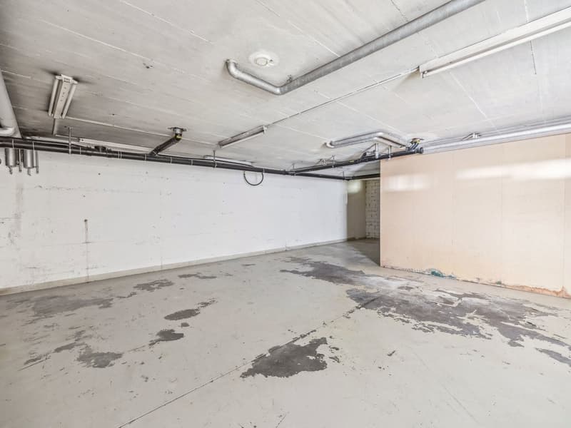 Flexible Gewerbefläche mit unbegrenzter Bodenbelastung in Solothurn! (13)