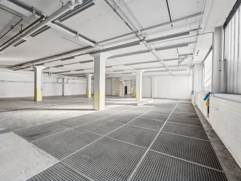 Flexible Gewerbefläche mit unbegrenzter Bodenbelastung in Solothurn! (11)