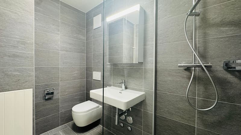 Neu Renovierte 2.5-Zimmer-Wohnung mit Balkon in Basel (6)