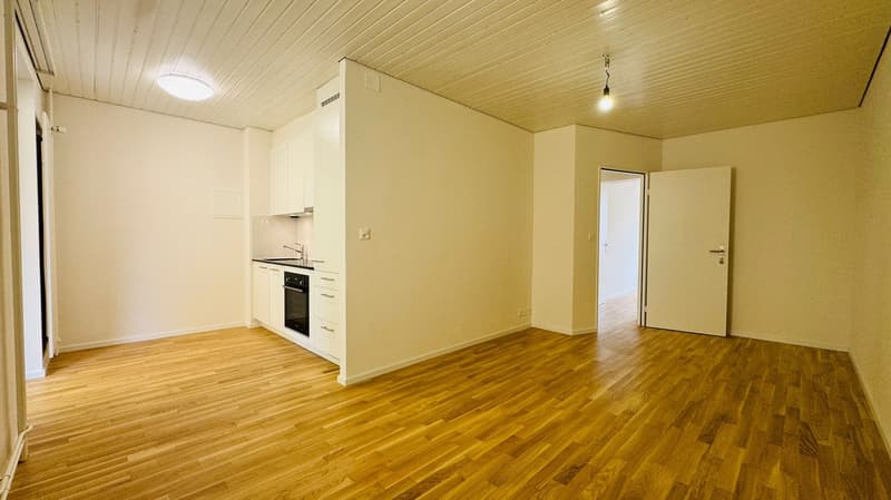 Neu Renovierte 2.5-Zimmer-Wohnung mit Balkon in Basel (4)