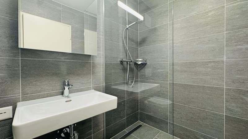 Neu Renovierte 2.5-Zimmer-Wohnung mit Balkon in Basel (5)