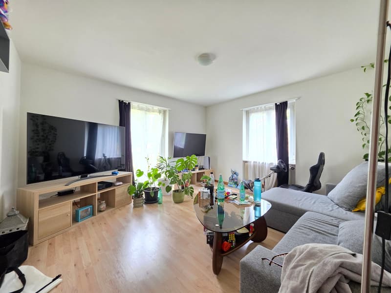 Gemütliche 3-Zimmer-Wohnung in Trimbach (9)