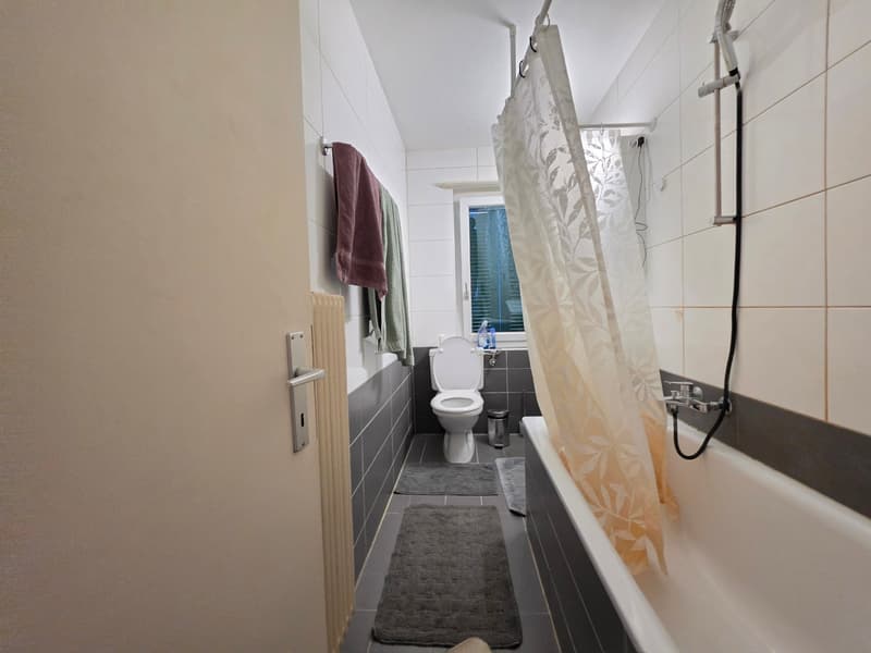 Gemütliche 3-Zimmer-Wohnung in Trimbach (5)
